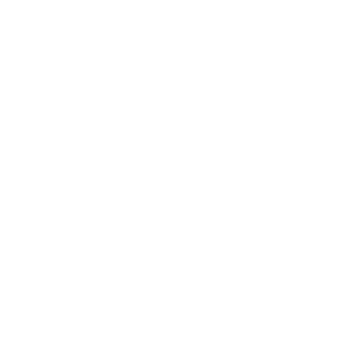 Supply Chain Disruptions